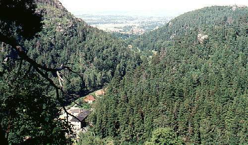 Das Goldbachtal. Am Ende des Tales die Teufelsmühle, am linken Waldrand die Bahn. Im Hintergrund die Stadt Zittau.